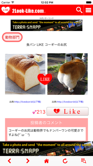 2Look-Like.com(圖2)-速報App