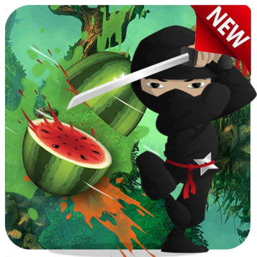 Real Ninja Fruit Cut 2016 icon