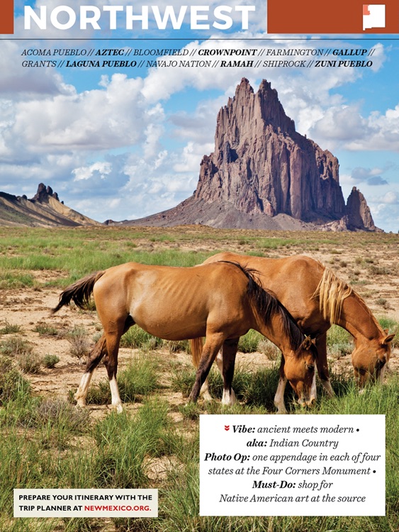 New Mexico Vacation Guide+ screenshot-4