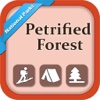 Petrified Forest National Park Guide