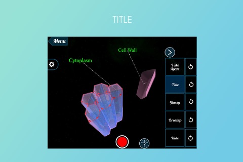 Collenchyma Tissue 3D screenshot 3