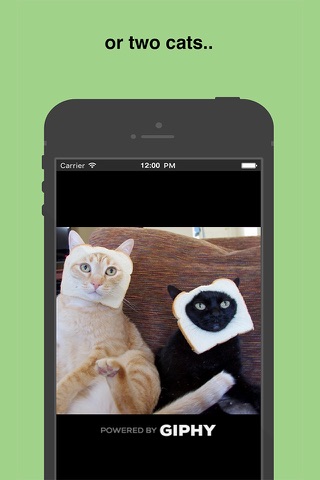 Cat Alarm Clock screenshot 3