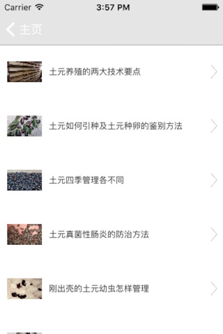 中国土元网 screenshot 4