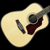 12-String Guitar Tuner Simple apk