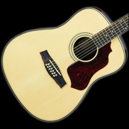 12-String Guitar Tuner Simple