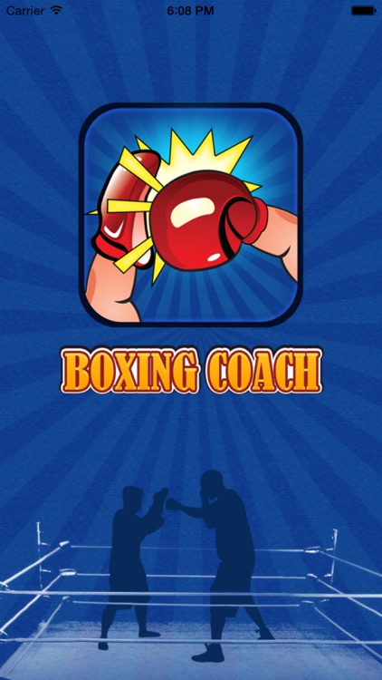 Six Series Boxing Combo