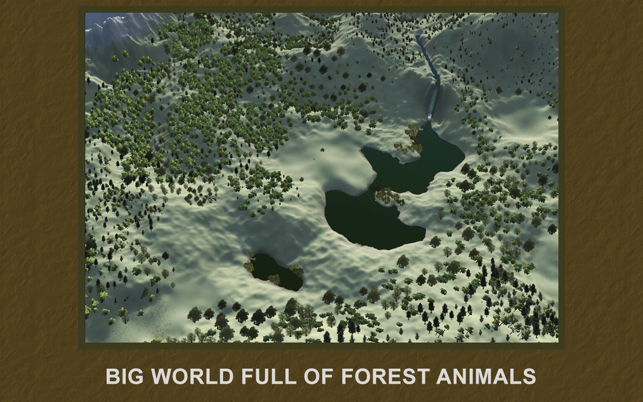 Explain 3D Forest animals(圖4)-速報App