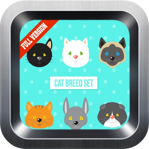 Learn English Via Cats Names Games for Kids Icon