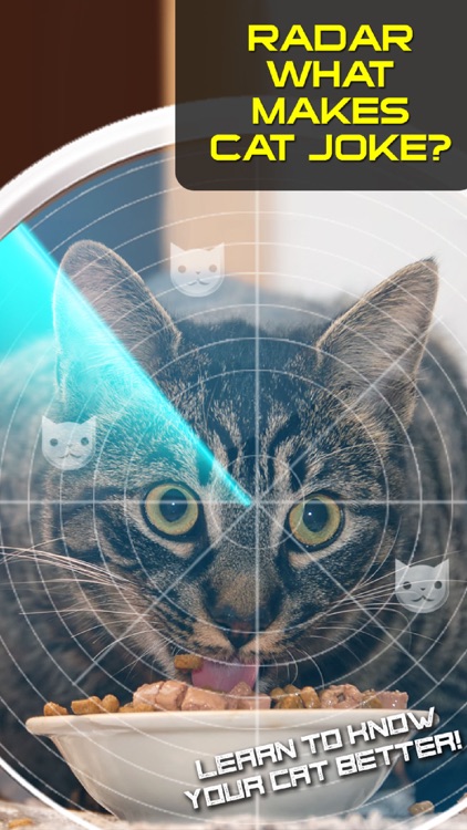 Radar What Makes Cat Joke
