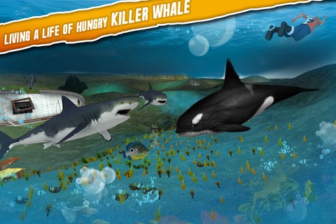 Angry Whale Simulator 2016 screenshot 4