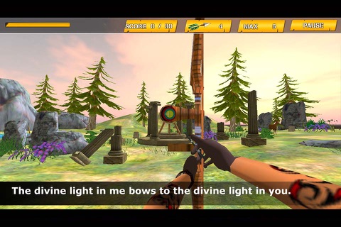 Archery 3D Game 2016 screenshot 2