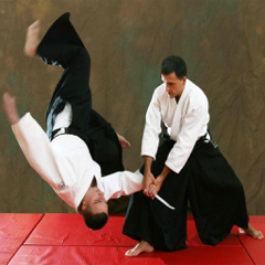 Learn Aikido Techniques