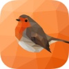 Nature Sounds: Zen Sounds for Relax, Focus and Sleep