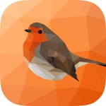 Nature Sounds Zen Sounds for Relax, Focus and Sleep