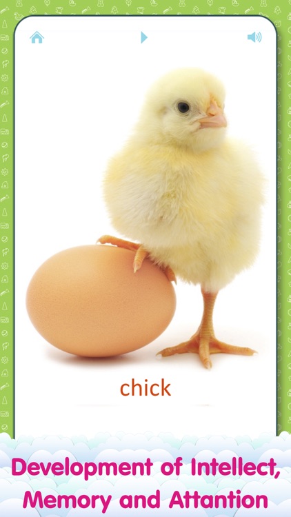 Animal for kids - Learn My First Words with Child Development Flashcards screenshot-4