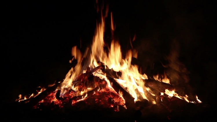 Fireplaces HD screenshot-4
