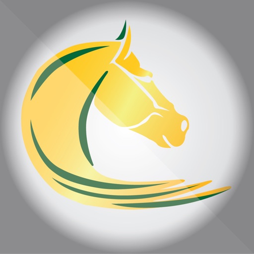 Wathba Stallions Icon