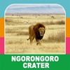 Ngorongoro Crater Tourism Guide