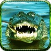 American Deadly Alligator - Swampy Crocodile Hunting Attack