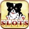 Indoor Pet Vegas : Free Casino Pokies & Jackpot Game Free!
