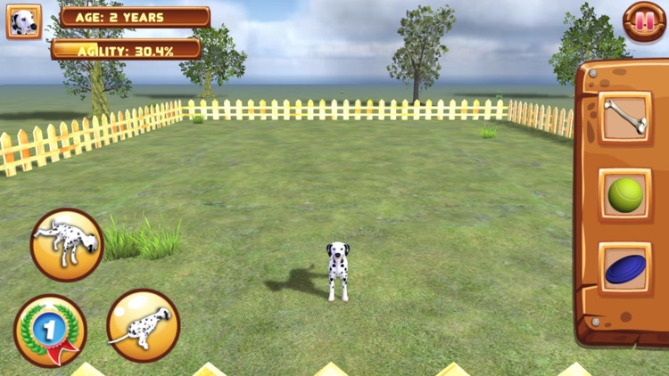 Play with your Dog: Dalmatian screenshot-4