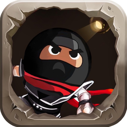 Heroic Ninja iOS App