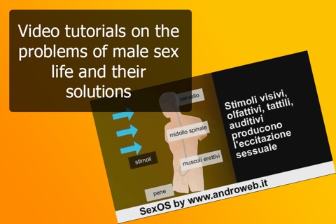 SexOS English screenshot 4