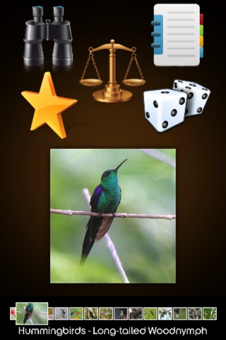 Hummingbirds Guide + screenshot 3