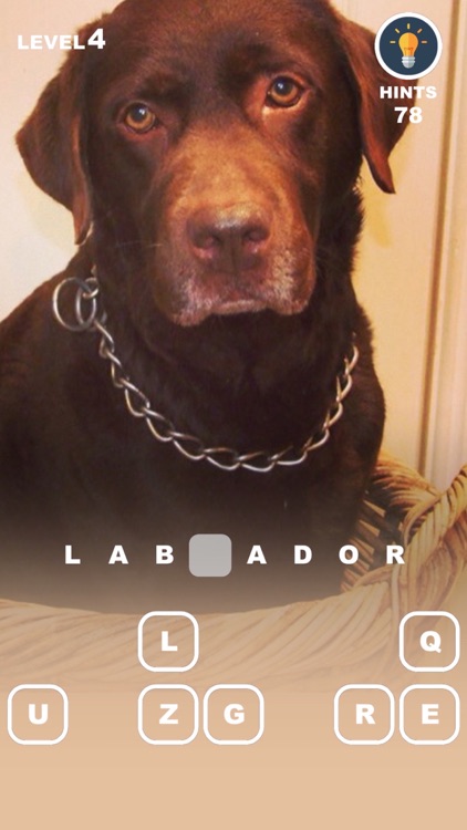 Dog Genius – photo trivia with puppies in makeup