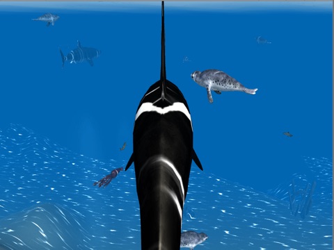Orca Whale Simulator screenshot 4