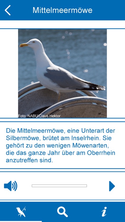 R(h)einhören - Vogelvielfalt am Oberrhein screenshot-3