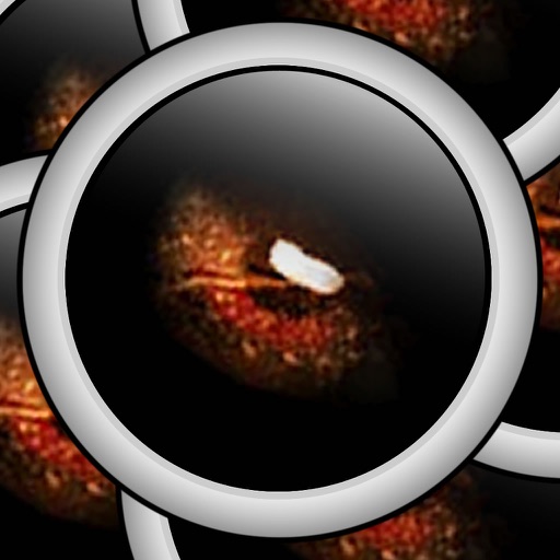 Stalker 1 LITE - Room Escape iOS App