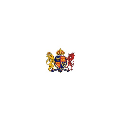 King Edward VI Southampton icon