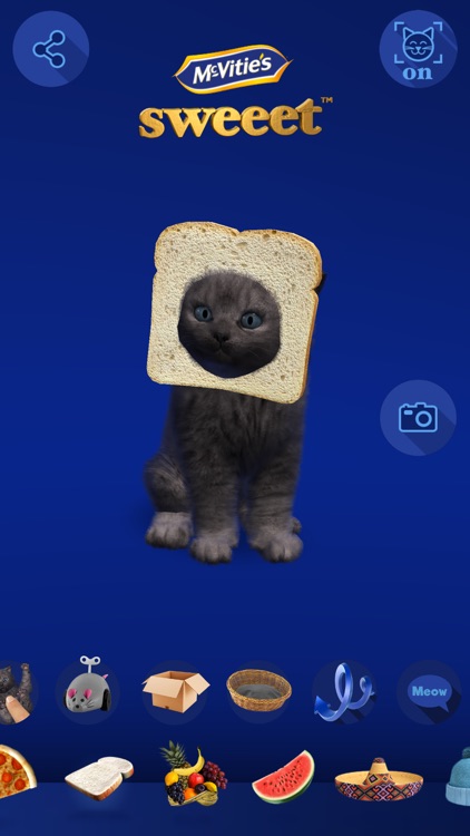 mcvities cat