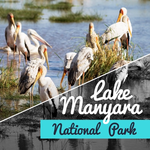 Lake Manyara National Park Travel Guide icon