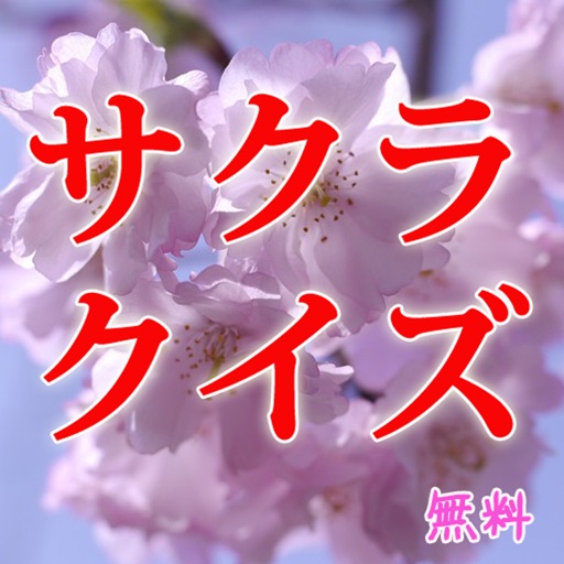 桜クイズi弥生の空は 見わたすかぎり サクラ咲く icon
