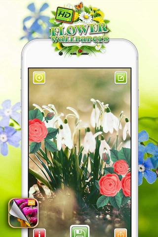 HD Flower Wallpaper.s – Beautiful Floral Themes and Custom Lock Sreen Background.s screenshot 3