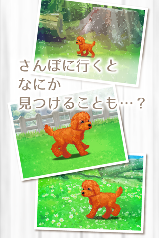 My Dog Life -Toy Poodle Edition- screenshot 3