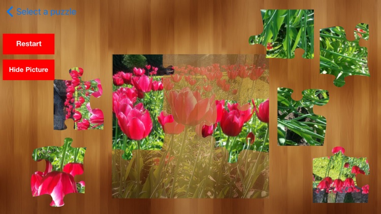 Puzzl Color edition - Puzzle and Jigsaw - Nice Colorful images