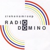 Radio Domino