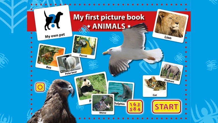 Picture Book Animals