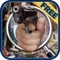 Hidden Object:The Secret Case Investigation