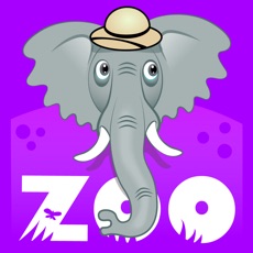 Activities of Zoo Bubble Match