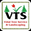 Vidal Tree Service & Landscaping