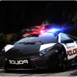 Police Car Driving 2016