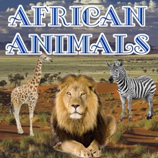 Activities of African Animals