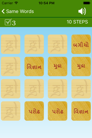 Gujarati Word Match screenshot 3
