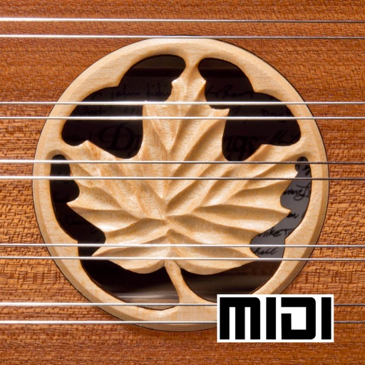 D550 MIDI - Hammered Dulcimer MIDI Controller - Dusty Strings Edition