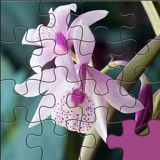 Beautiful Orchid Jigsaw HD Images - Puzzli Games For iPhone & iPad icon