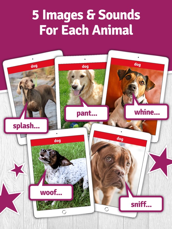 SO Animals - HD Interactive Animal Flash Cards & Sounds screenshot-4